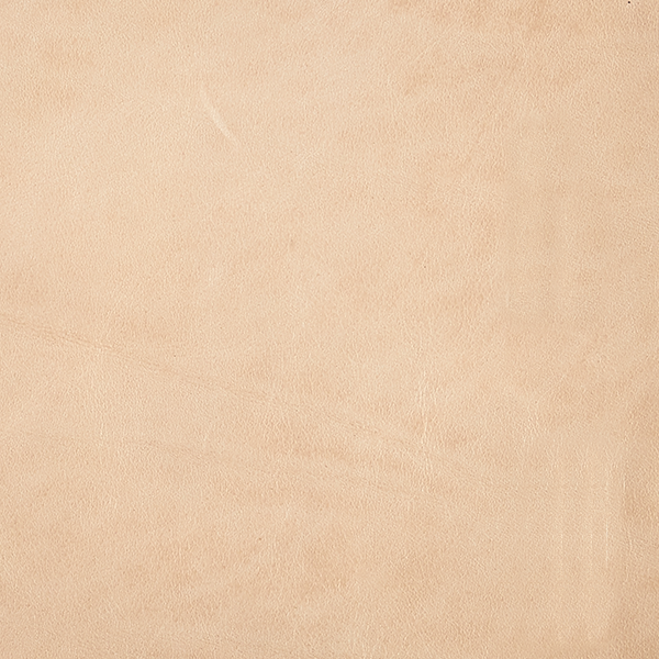 Blushworthy Fabric Swatch